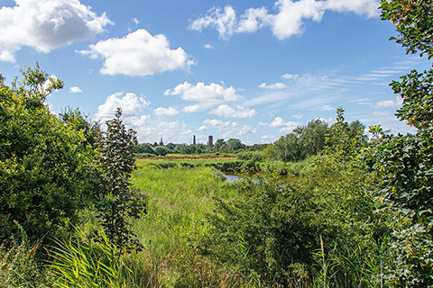 Blick vom Binnendeich auf den Ort