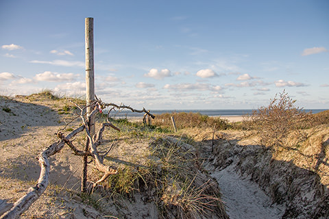Wanderweg im Ostland